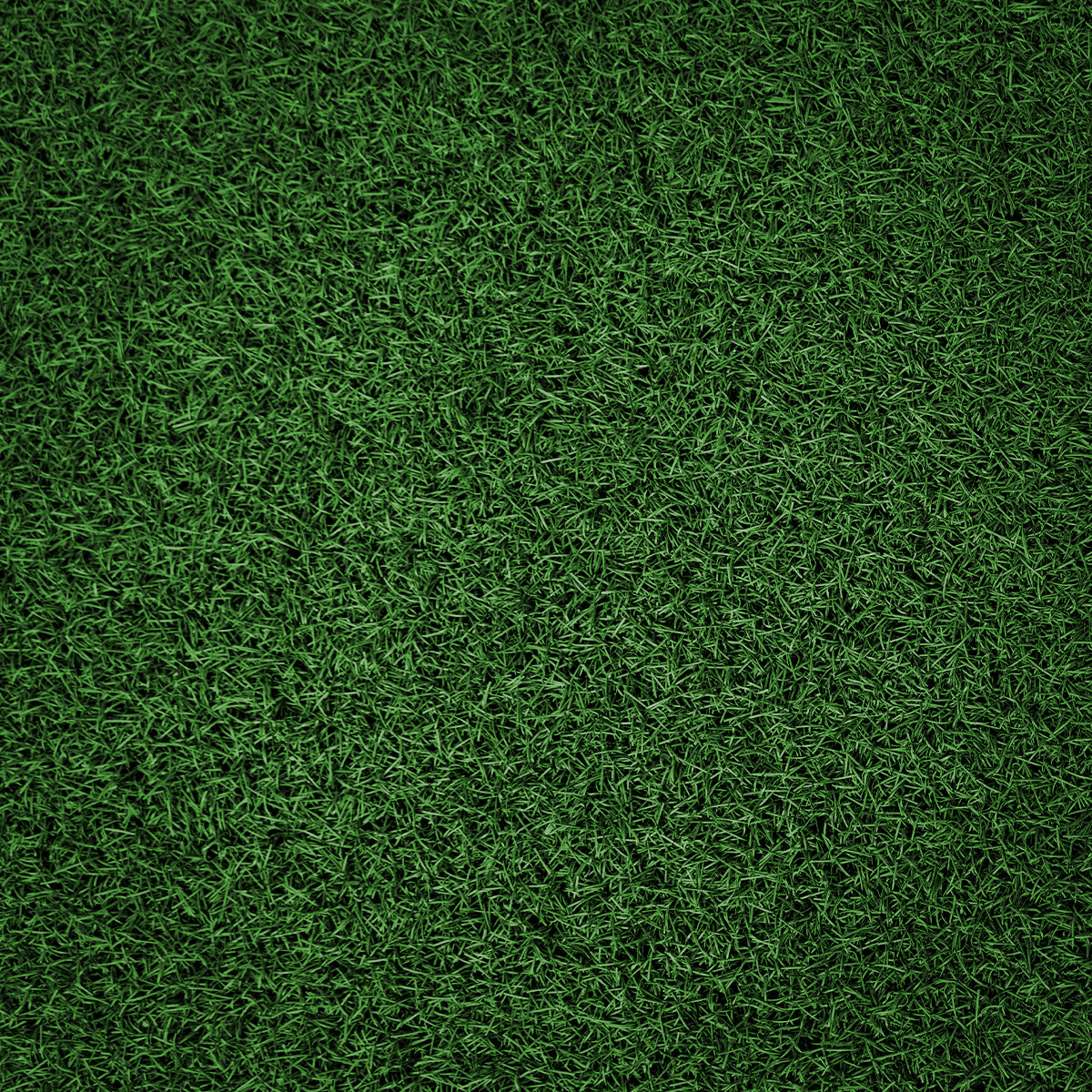 Premium Sprint Tracks (2m x 10/20m) – PREORDER - Ships Separately - Strength Shop