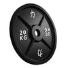 20KG - Riot Cast Iron Plate