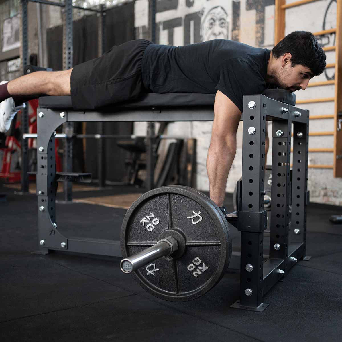 B-WARE Riot Seal Row Bench - Strength Shop