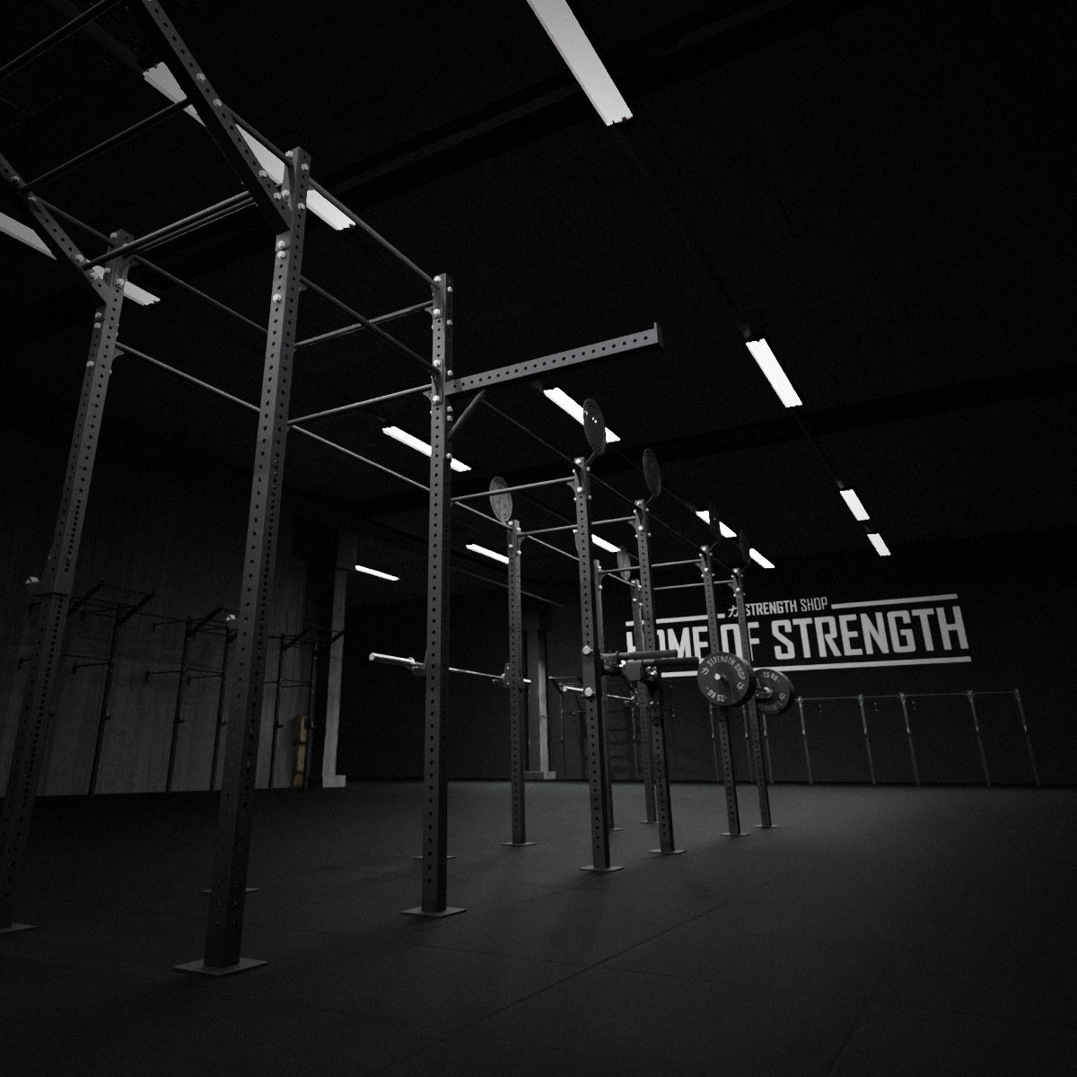 B-WARE Riot Rig MRR | Outrigger - Strength Shop