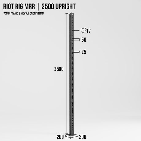 B-WARE Riot Rig MRR | 2500 Upright - Strength Shop