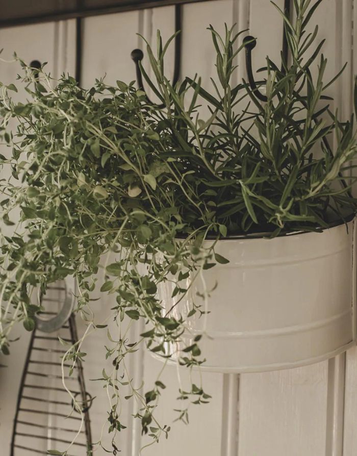Wall Planter Aufbewahrung Olle I Large